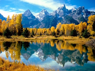 Das Grand Teton National Park, Wyoming Wallpaper 320x240