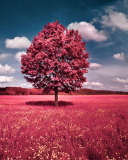 Screenshot №1 pro téma Pink Grass Field 128x160