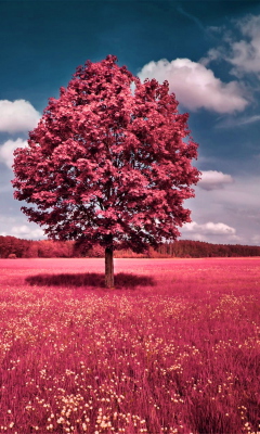 Pink Grass Field screenshot #1 240x400