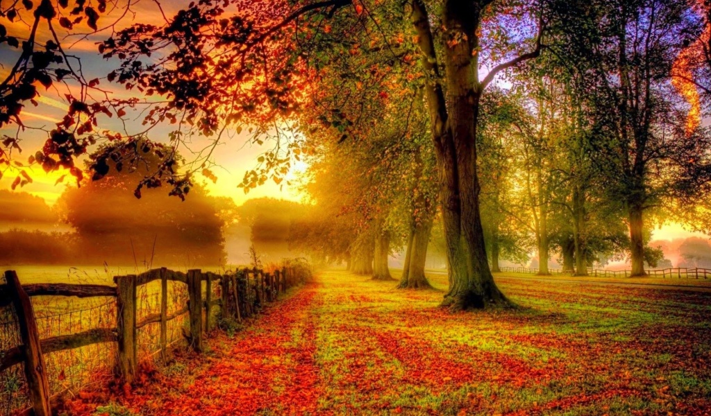 Fondo de pantalla Autumn Morning 1024x600