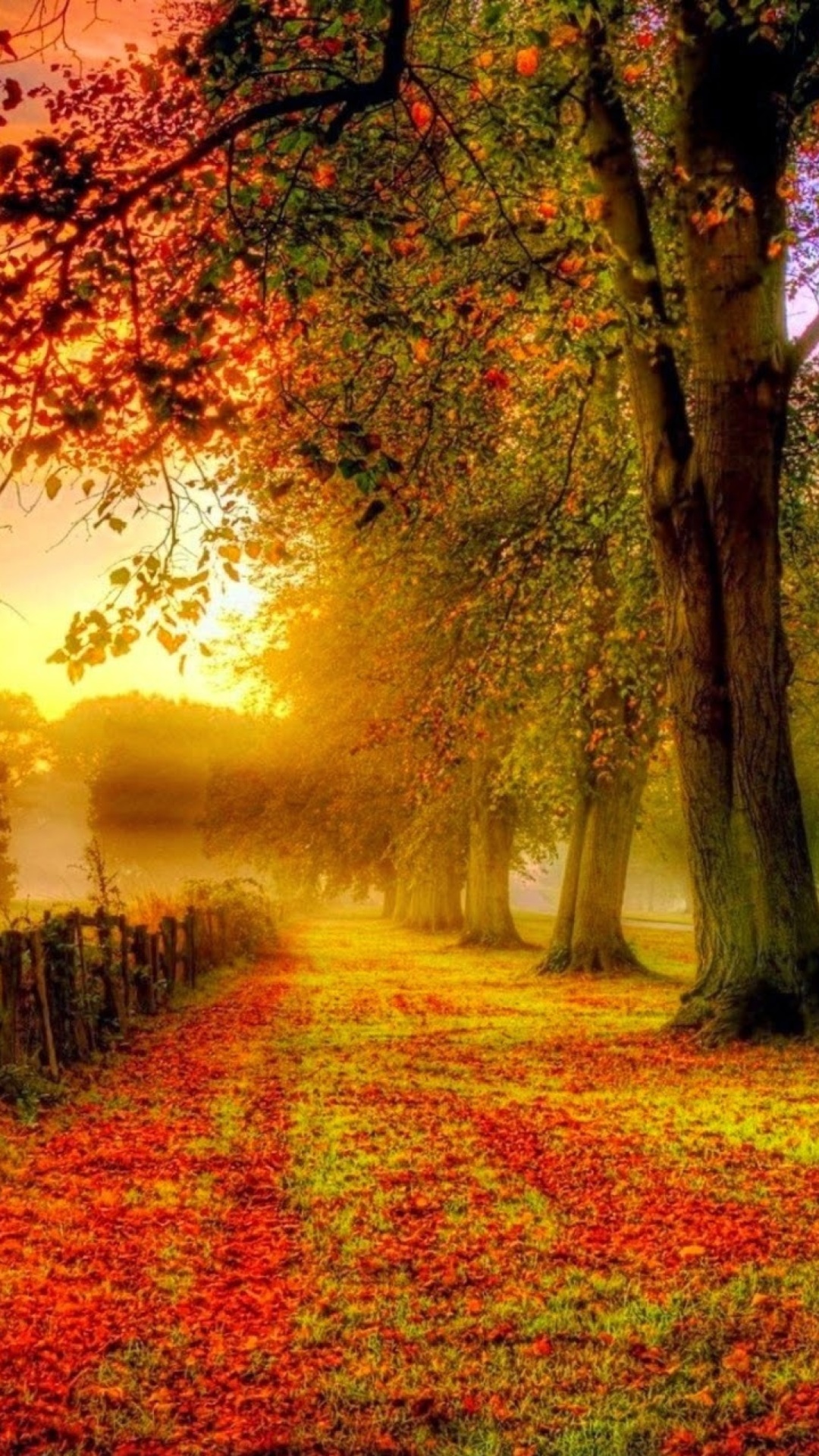 Fondo de pantalla Autumn Morning 1080x1920