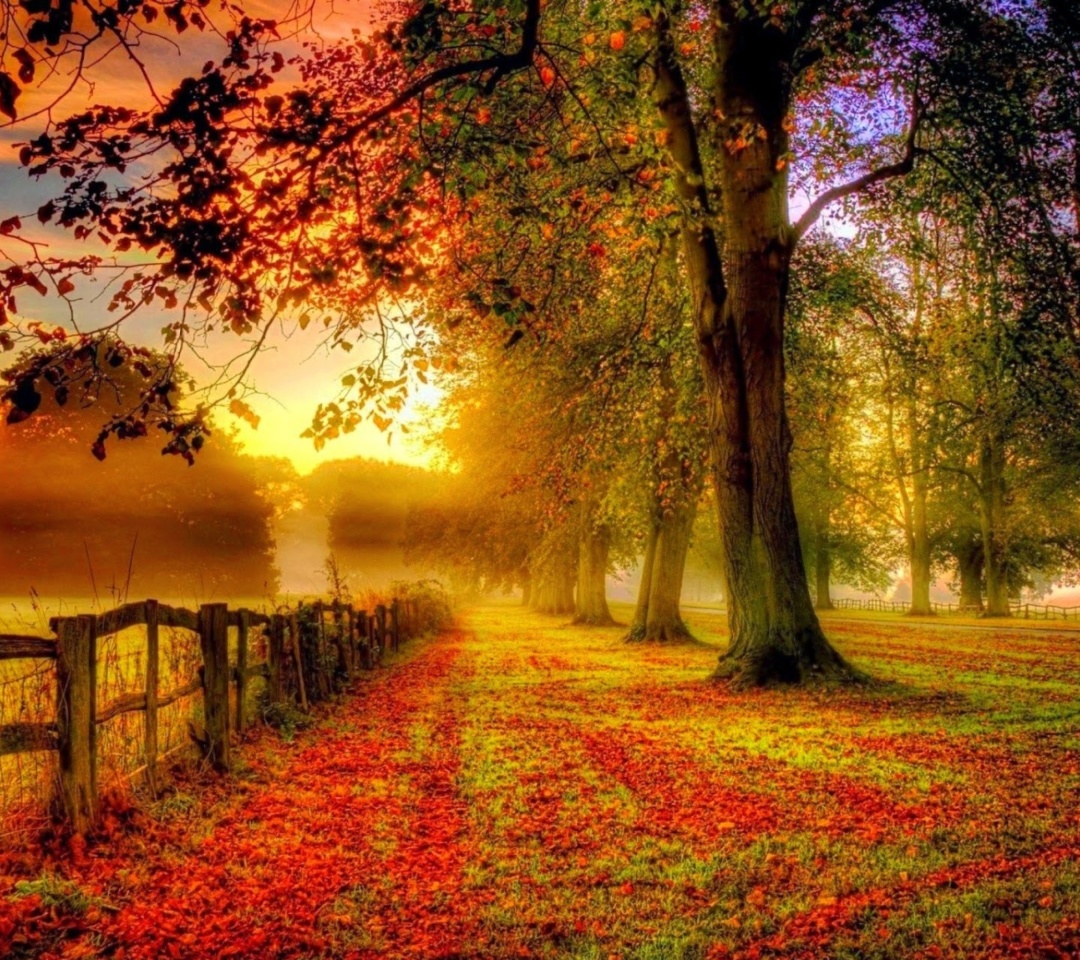 Autumn Morning wallpaper 1080x960