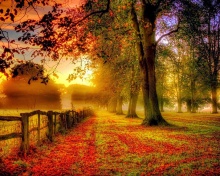 Screenshot №1 pro téma Autumn Morning 220x176