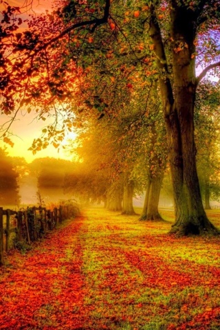 Autumn Morning screenshot #1 320x480