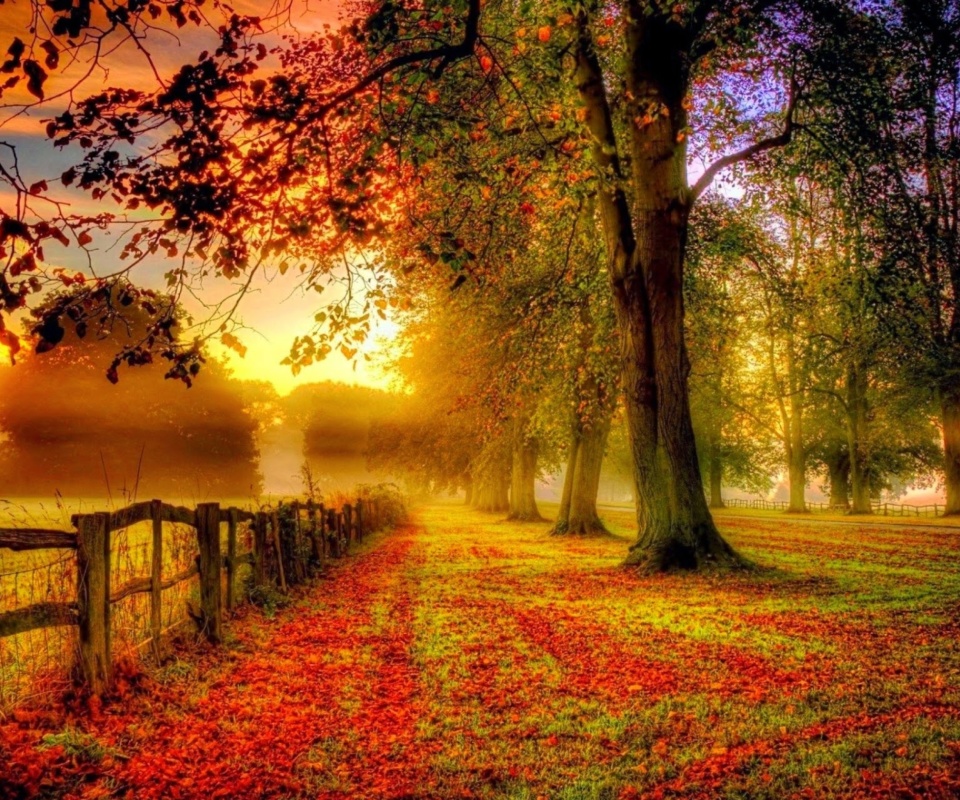 Autumn Morning screenshot #1 960x800