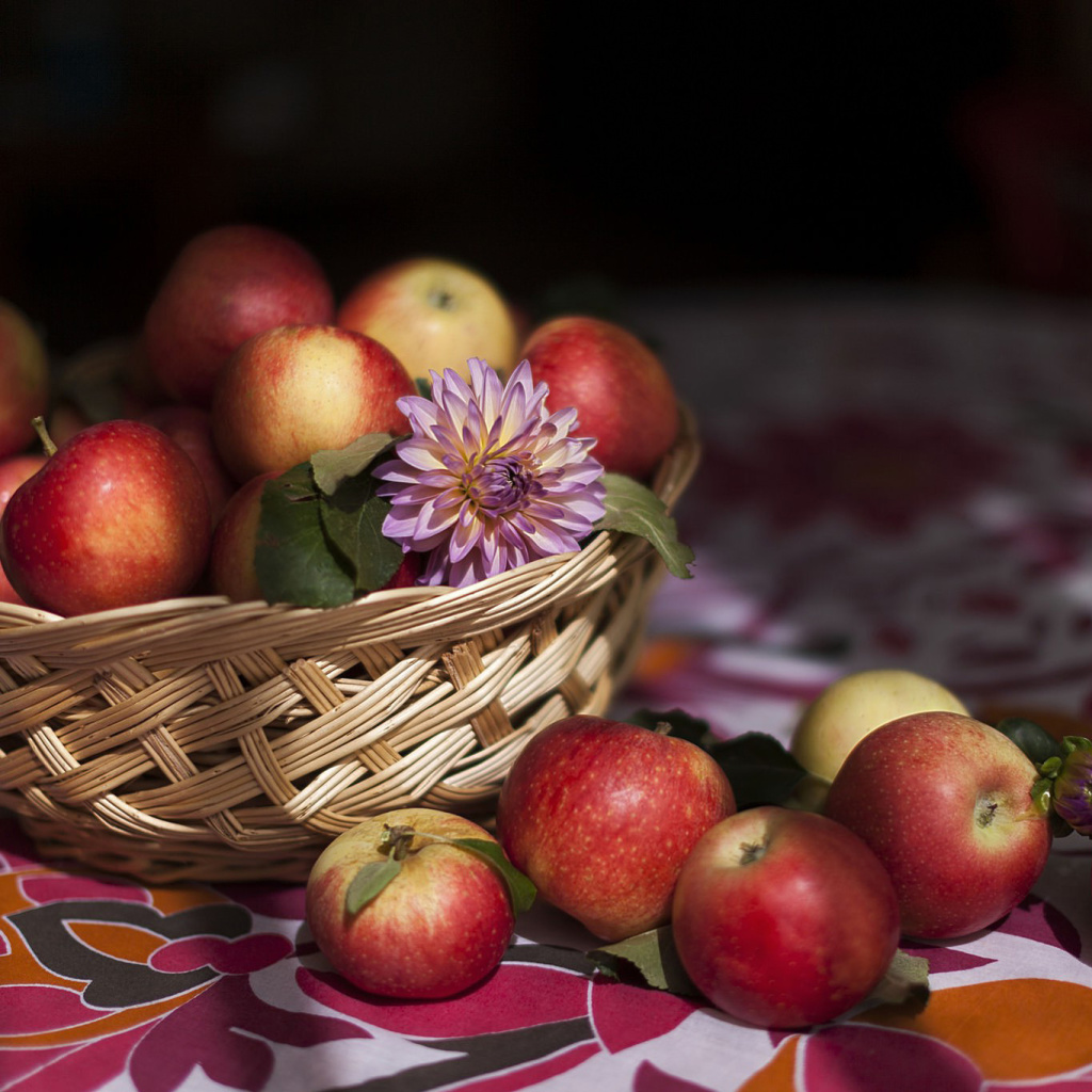 Das Bunch Autumn Apples Wallpaper 1024x1024