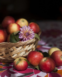 Das Bunch Autumn Apples Wallpaper 128x160