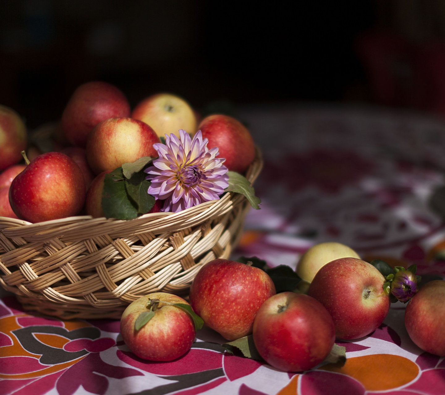 Обои Bunch Autumn Apples 1440x1280