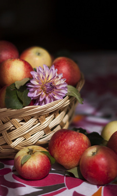 Das Bunch Autumn Apples Wallpaper 240x400