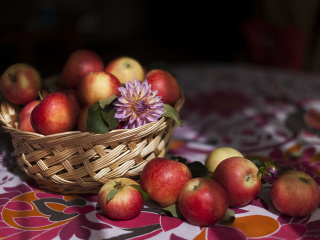 Das Bunch Autumn Apples Wallpaper 320x240