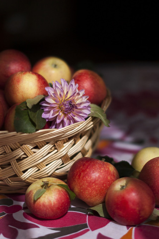 Das Bunch Autumn Apples Wallpaper 320x480