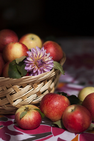 Bunch Autumn Apples wallpaper 320x480