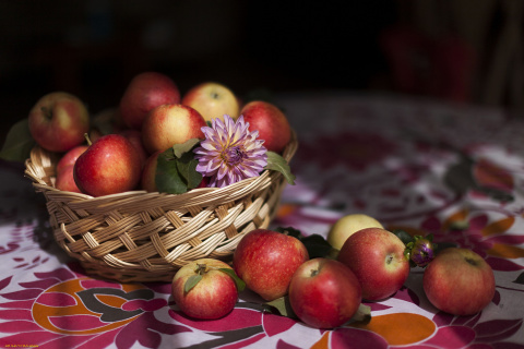 Bunch Autumn Apples wallpaper 480x320