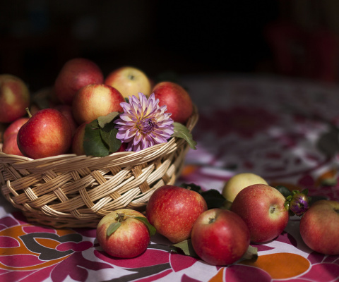 Das Bunch Autumn Apples Wallpaper 480x400