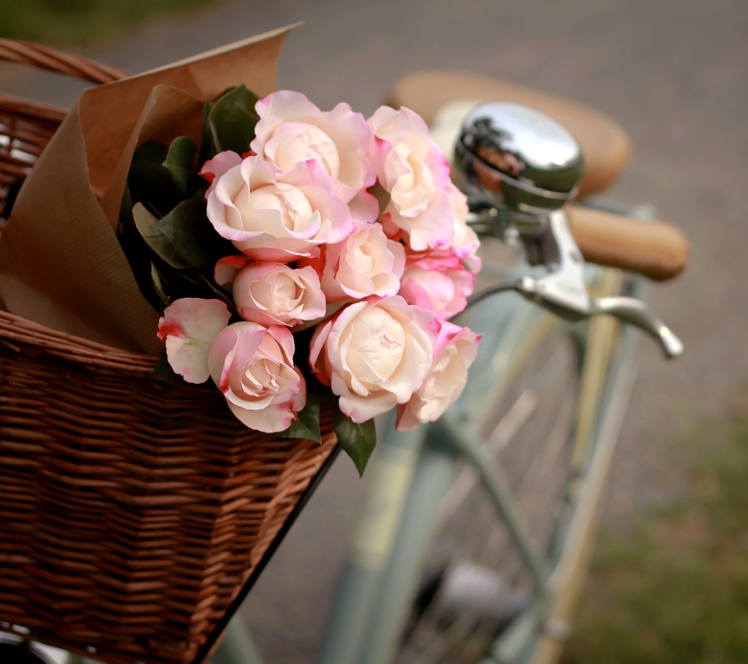 Pink Roses In Bicycle Basket wallpaper 1080x960
