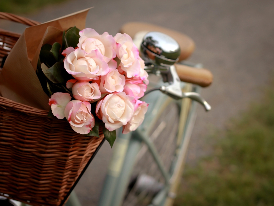 Pink Roses In Bicycle Basket wallpaper 1152x864