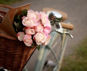 Обои Pink Roses In Bicycle Basket 176x144
