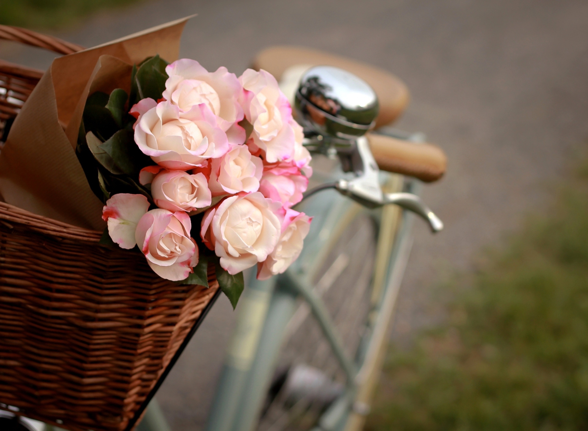 Pink Roses In Bicycle Basket wallpaper 1920x1408