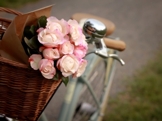 Pink Roses In Bicycle Basket wallpaper 320x240