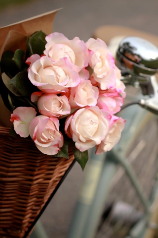 Pink Roses In Bicycle Basket wallpaper 320x480