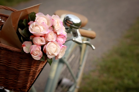 Pink Roses In Bicycle Basket wallpaper 480x320