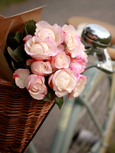 Pink Roses In Bicycle Basket wallpaper 480x640