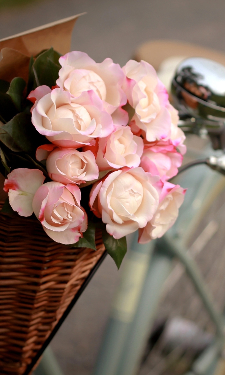 Sfondi Pink Roses In Bicycle Basket 768x1280