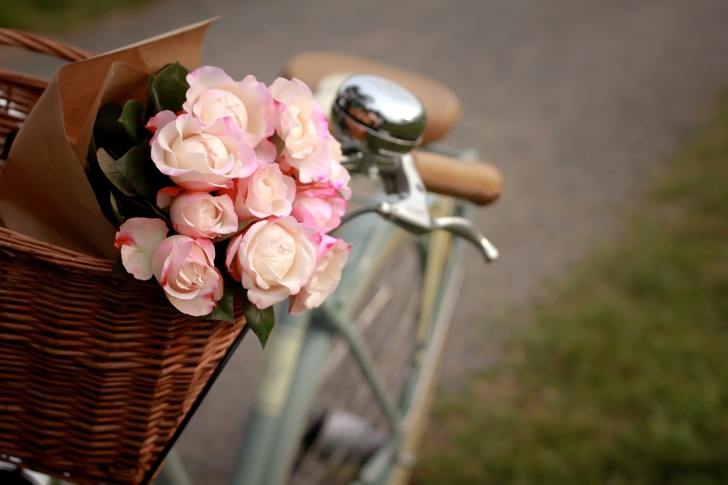 Pink Roses In Bicycle Basket wallpaper