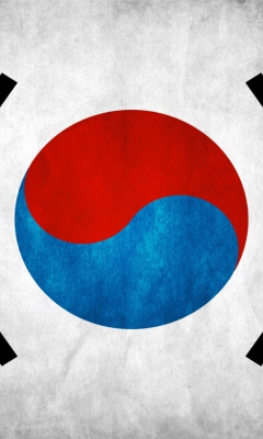 Sfondi South Korea Flag 240x400
