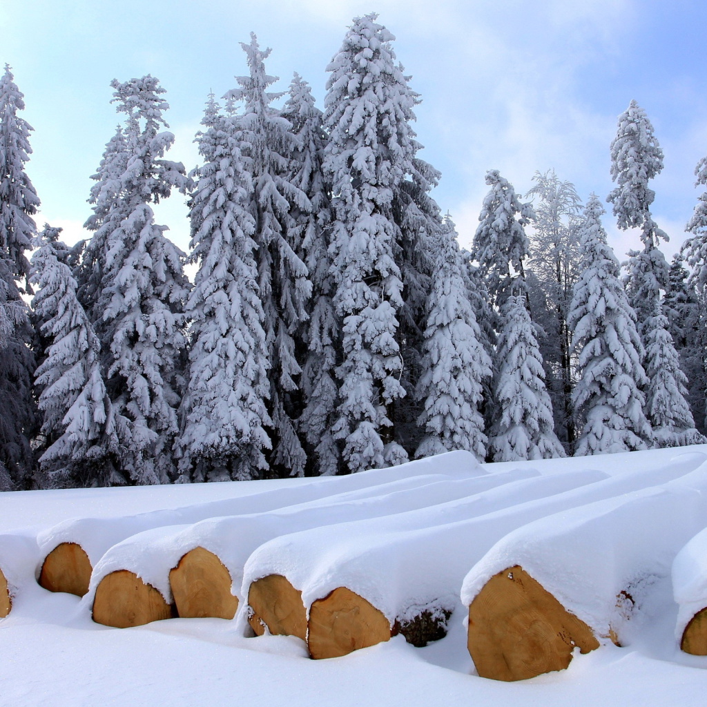 Sfondi Firewood under snow 1024x1024