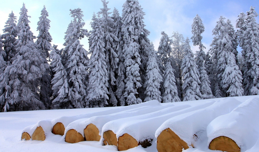 Das Firewood under snow Wallpaper 1024x600