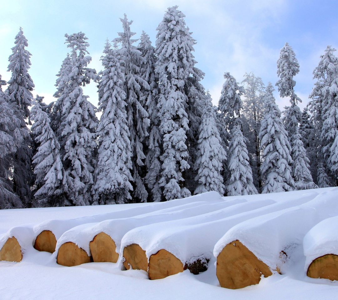 Обои Firewood under snow 1080x960