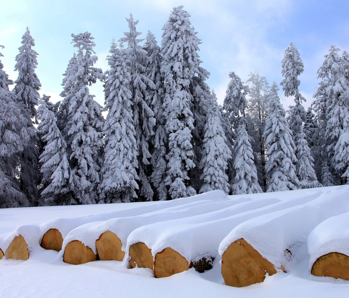Sfondi Firewood under snow 1200x1024
