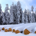 Firewood under snow screenshot #1 128x128