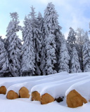 Das Firewood under snow Wallpaper 128x160