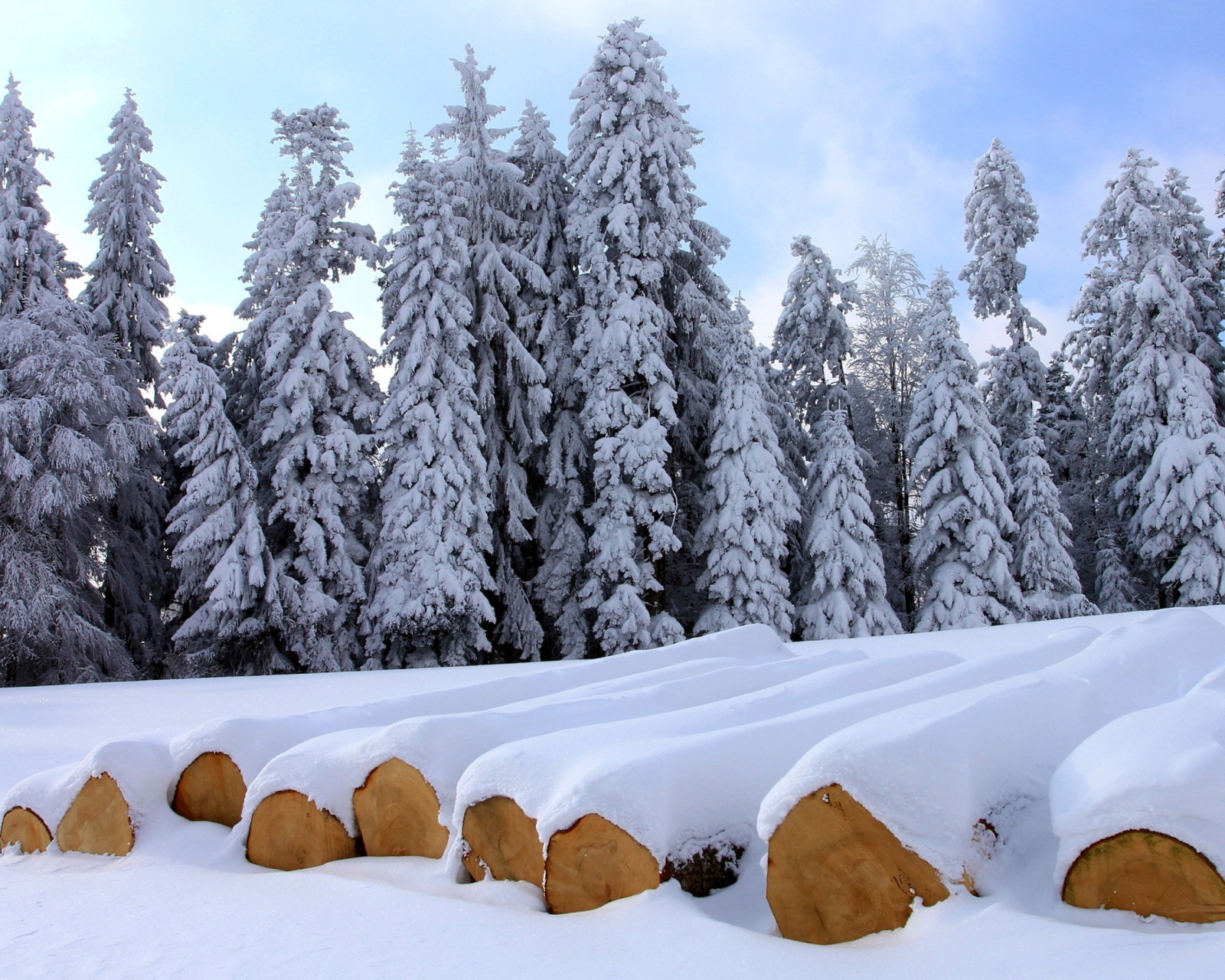 Das Firewood under snow Wallpaper 1600x1280