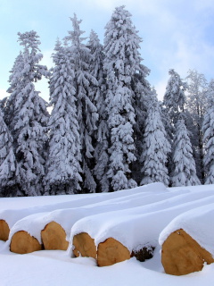 Das Firewood under snow Wallpaper 240x320
