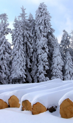 Das Firewood under snow Wallpaper 240x400