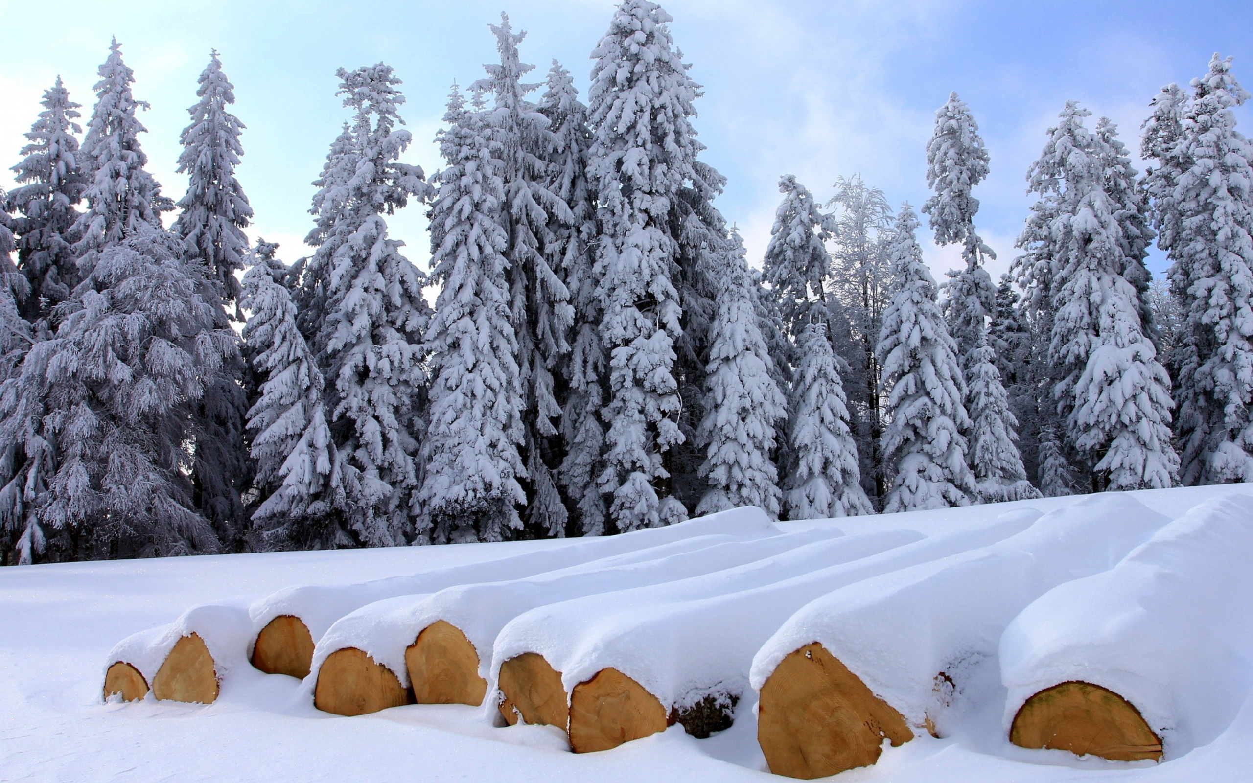 Das Firewood under snow Wallpaper 2560x1600