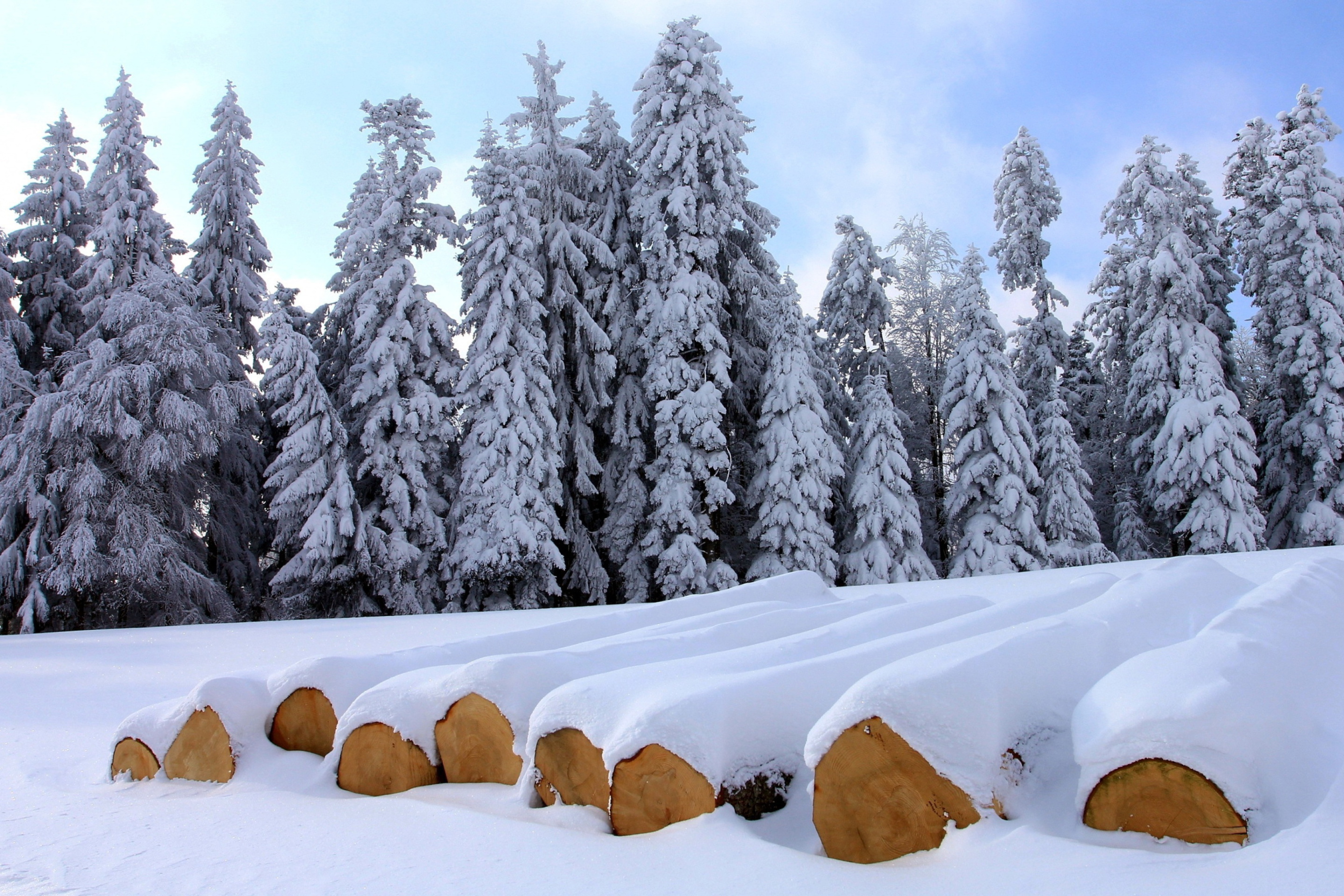 Das Firewood under snow Wallpaper 2880x1920