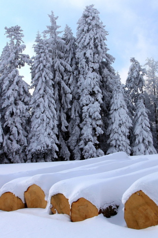 Das Firewood under snow Wallpaper 320x480