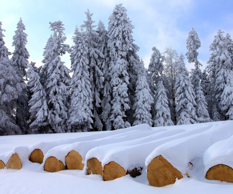 Das Firewood under snow Wallpaper 480x400