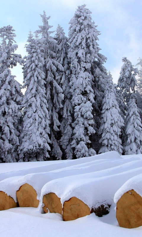 Das Firewood under snow Wallpaper 480x800
