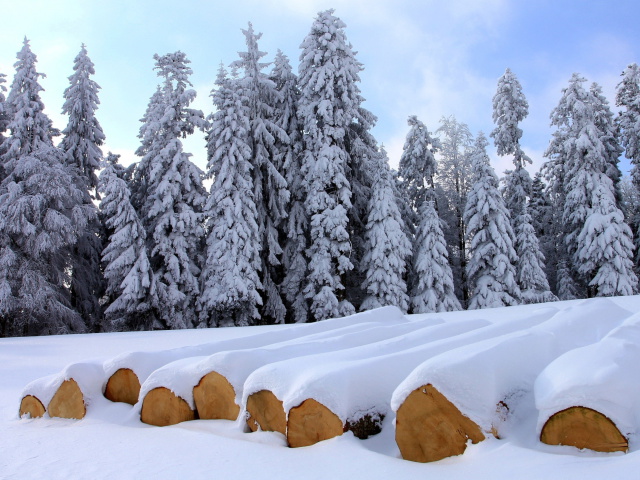 Firewood under snow wallpaper 640x480