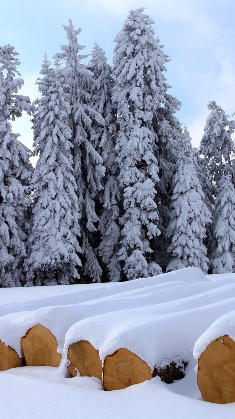 Обои Firewood under snow 750x1334