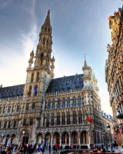Brussels Town Hall wallpaper 176x220