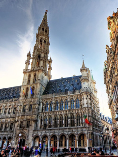 Brussels Town Hall wallpaper 240x320