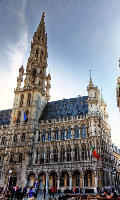 Brussels Town Hall wallpaper 240x400
