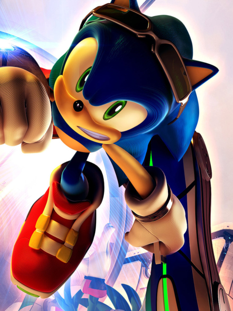 Screenshot №1 pro téma Sonic Free Riders 480x640