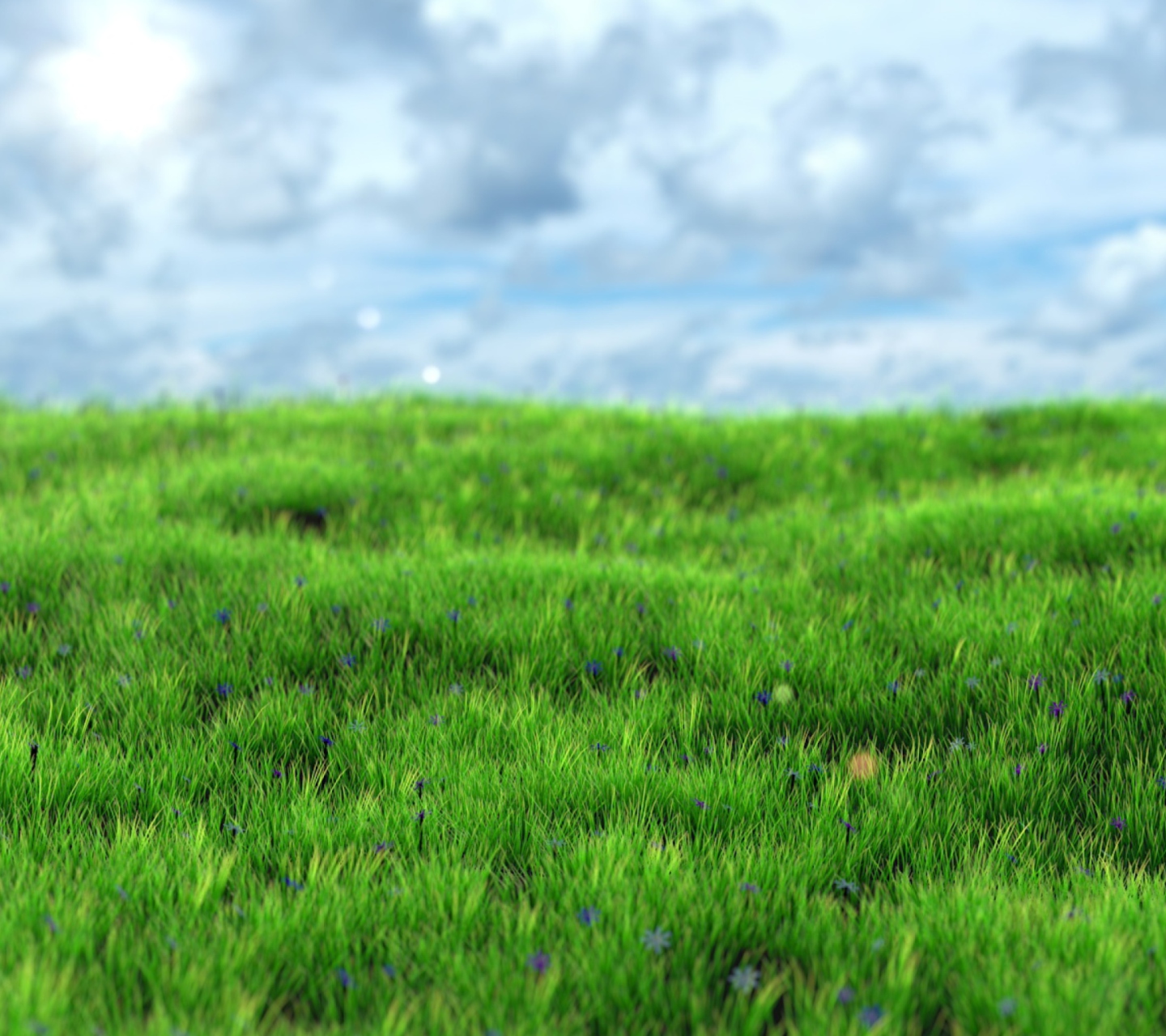 Das Green Grass Wallpaper 1440x1280